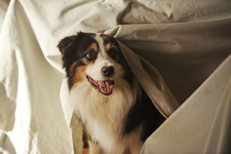 Szenenbild Die Rettung naht: Timmy � 2012 Constantin Film Verleih GmbH / Bernd Spauke