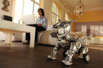 Szenenbild Allein zuhause: Million�rssohn Hardy (Kristo Ferkic) mit seinem Roboterhund Roby � 2012 Constantin Film Verleih GmbH / Bernd Spauke
