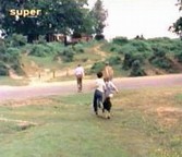 Screenshot (F�nf Freunde wollen Nobby besuchen)