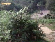 Screenshot (Die F�nf Freunde n�hern sich dem Wanderzirkus)