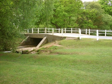 Foto von Adrian Wood