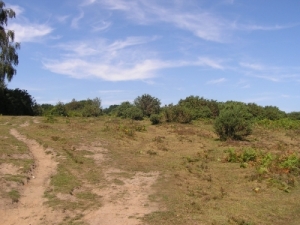Foto Gatebridge, N�he Blackfield