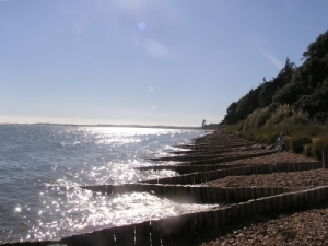 Foto K�se am Lepe House