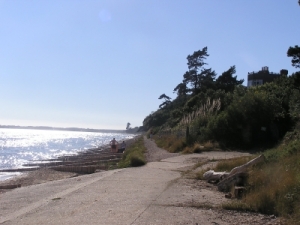 Foto K�se am Lepe House