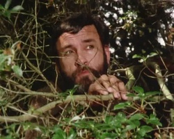 screenshot: Str�fling versteckt auf der Insel