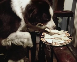 Standbild: Timmy fri&szlig;t die Sandwichs