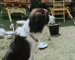 Standbild: Timmy h&auml;lt Wache