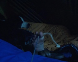 Standbild: Georges Stolperschnur am gro&szlig;en Zeh