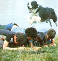 Titelfoto und Überschrift Look-In-Bericht