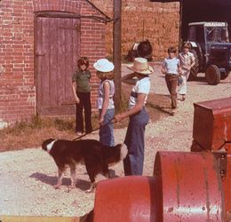 Viewmaster-Bild aus 'F�nf Freunde im Zeltlager'